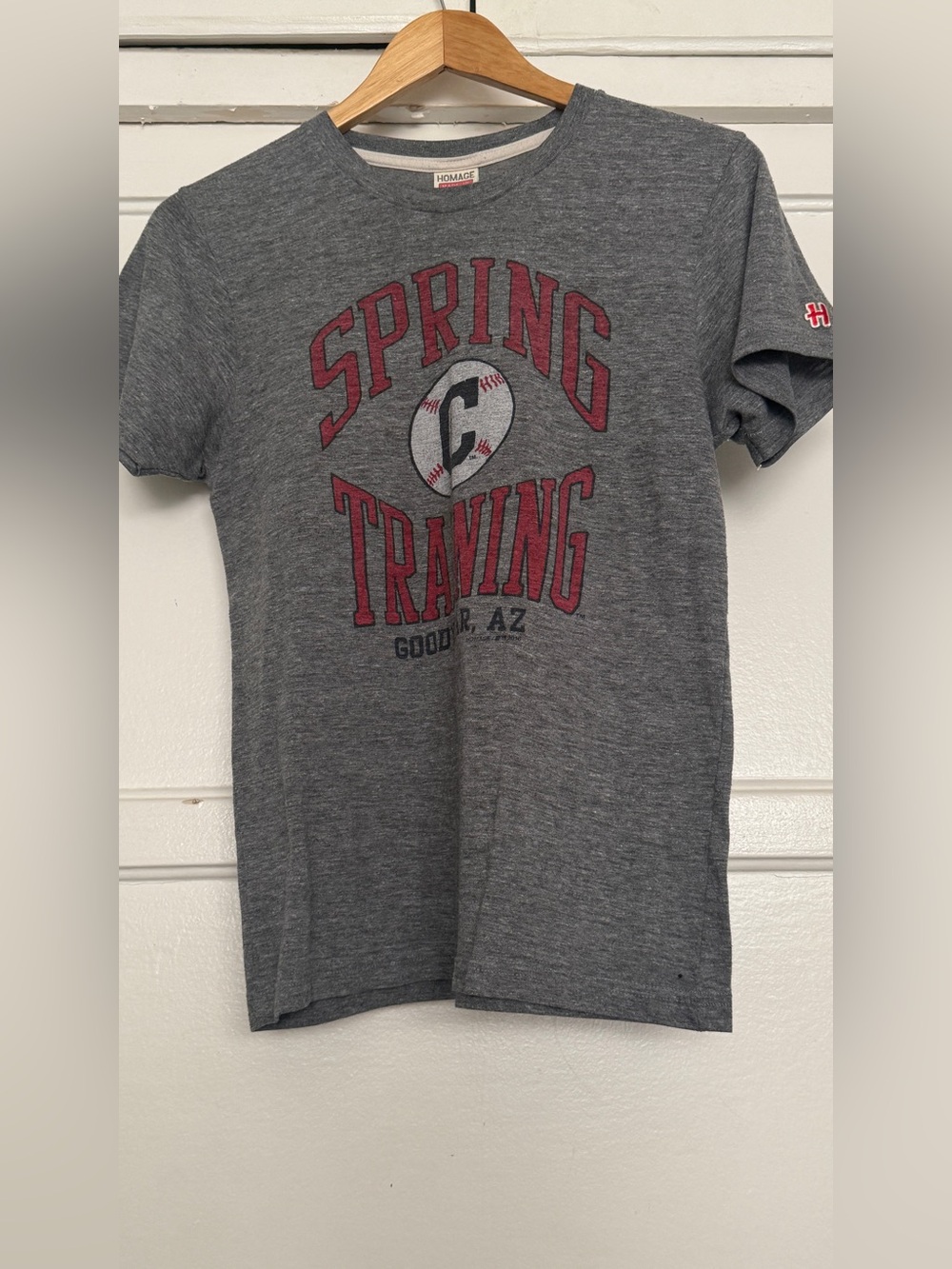 Women’s Grey 'Spring Training' Graphic Tee